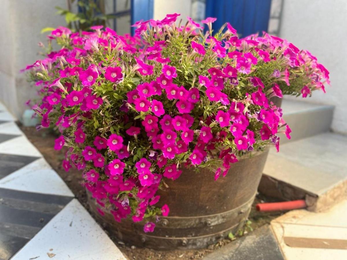 Ahuzat Shaul Seaside Bed & Breakfast Hadera Luaran gambar